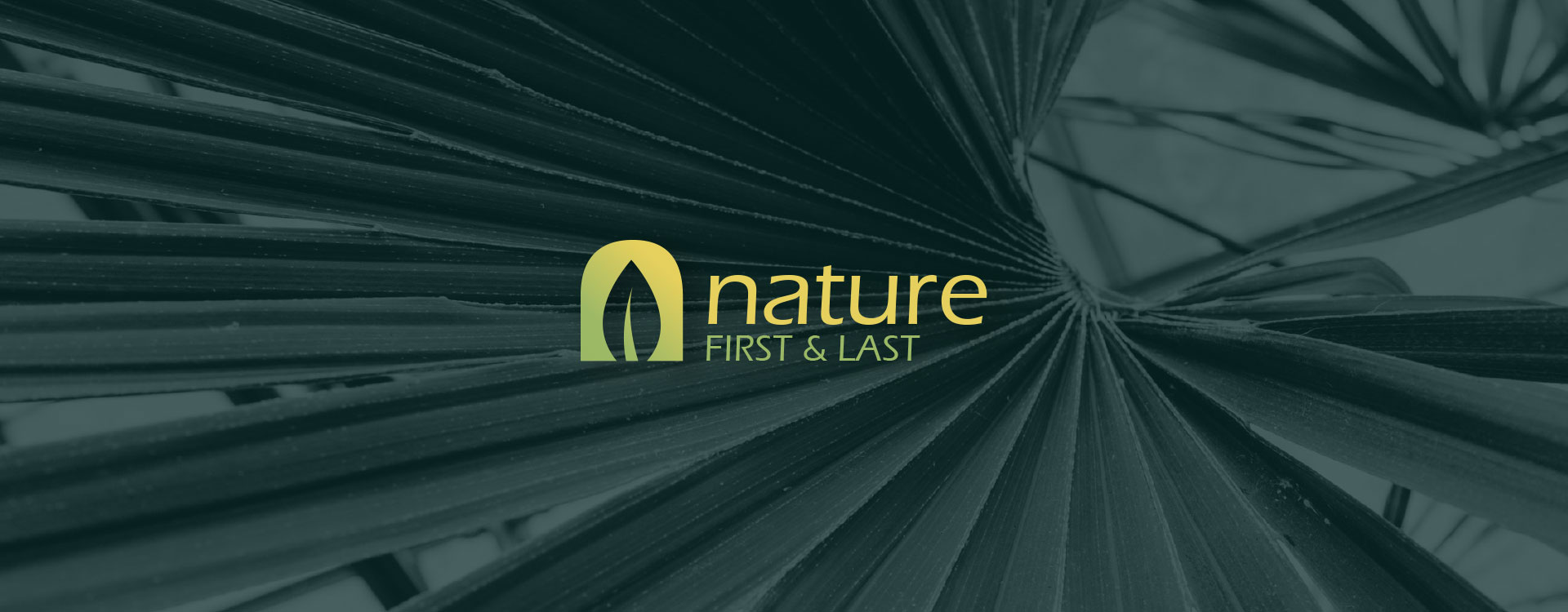 Logo design for organic FMCG brand - Nature - First & Last